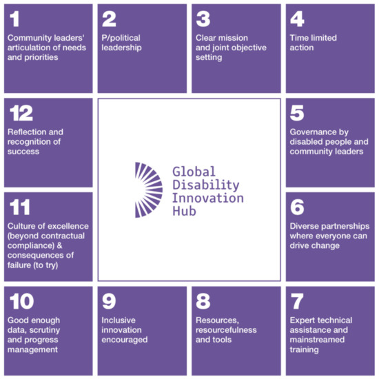 A graphic of the proposed 12 step disability inclusion model. Cover Image